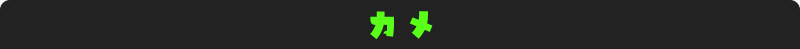 カメの分類カテゴリ