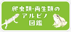 アルビノ動物園・動物図鑑
