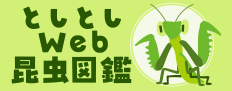 としとしWeb昆虫図鑑