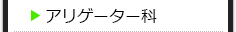 アリゲーター科の種類一覧