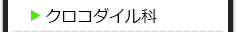 クロコダイル科の種類一覧