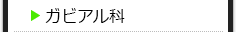 ガビアル科の種類一覧