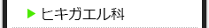 ヒキガエル科 の種類一覧