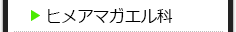 ヒメアマガエル科の種類一覧