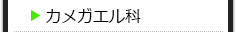 カメガエル科の種類一覧
