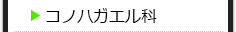 コノハガエル科の種類一覧