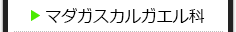 マダガスカルガエル科の種類一覧