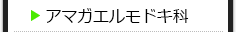 アマガエルモドキ科の種類一覧