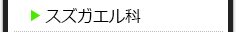 スズガエル科の種類一覧