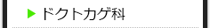 ドクトカゲ科の種類一覧