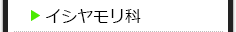 イシヤモリ科の種類一覧