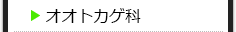 オオトカゲ科の種類一覧