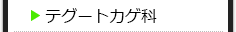 テグートカゲ科の種類一覧