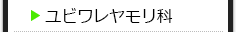 ユビワレヤモリ科の種類一覧
