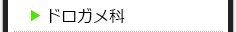ドロガメ科の種類一覧