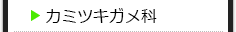 カミツキガメ科の種類一覧