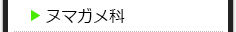 ヌマガメ科の種類一覧