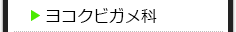 ヨコクビガメ科の種類一覧
