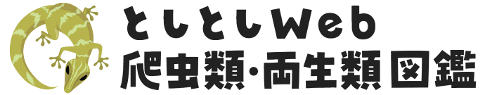 としとしWeb爬虫類図鑑・両生類図鑑