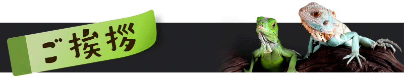 としとしWeb爬虫類・両生類図鑑からのご挨拶
