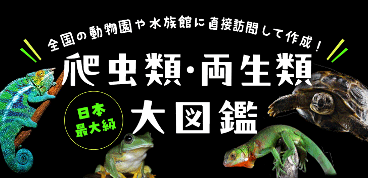 日本最大級の爬虫類図鑑・両生類図鑑