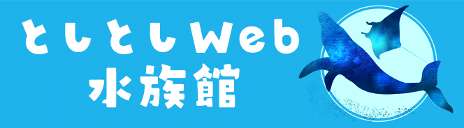 としとしWeb水族館・魚図鑑