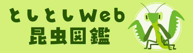 としとしWeb昆虫図鑑