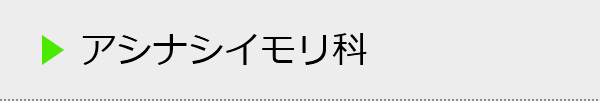 アシナシイモリ科の種類一覧