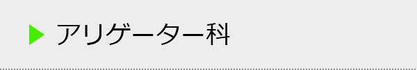 アリゲーター科の種類一覧