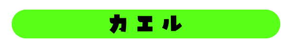 カエルの種類一覧