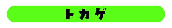 トカゲの種類一覧