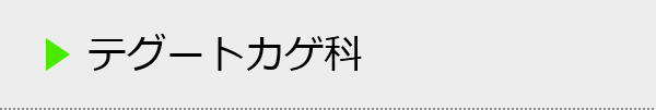 テグートカゲ科の種類一覧