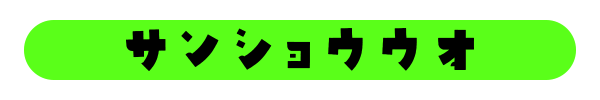 サンショウウオの種類一覧