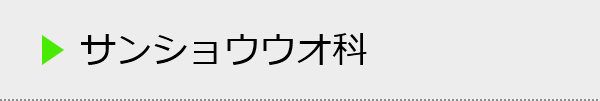 サンショウウオ科の種類一覧