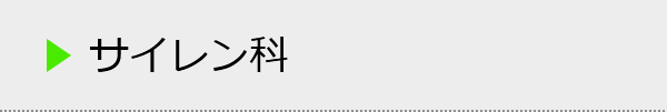 サイレン科の種類一覧
