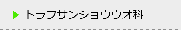 トラフサンショウウオ科の種類一覧