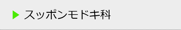 スッポンモドキ科の種類一覧