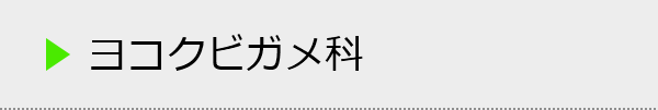 ヨコクビガメ科の種類一覧